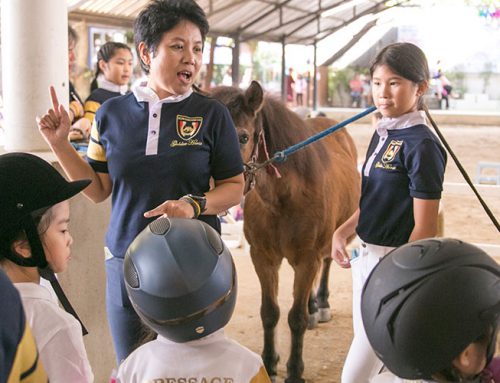 Horse Riding Lesson For Children